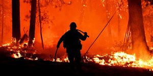 TOPSHOT - Firefighters struggle to contain backfire in the Pollard Flat area of California in the Shasta Trinity National Forest on September 6, 2018. (Photo by JOSH EDELSON / AFP)        (Photo credit should read JOSH EDELSON/AFP/Getty Images)