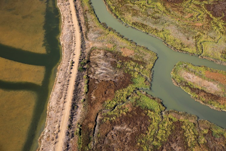 Tidal wetlands are seen in this aerial photograph taken near Newark, California, U.S., on Wednesday, Oct. 23, 2019. California and environmental groups say the Trump administration misinterpreted federal law when it classified San Francisco Bay Area salt ponds as beyond the scope of the Clean Water Act. Photographer: Sam Hall/Bloomberg via Getty Images