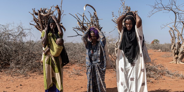 DOOLOW, SOMALIA. JANUARY 12: Displaced Somali women carrying gathered wood for burning in the nearby IDP settlement on January 12, 2023 in Doolow, Somalia.(Photo by Giles Clarke for The New York Times via Getty Images)