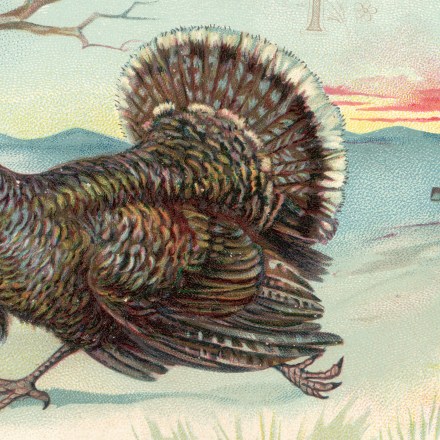 circa 1850:  In a postcard entitled 'Thanksgiving Day', a young boy with a hatchet chases a turkey across a field.  (Photo by Hulton Archive/Getty Images)