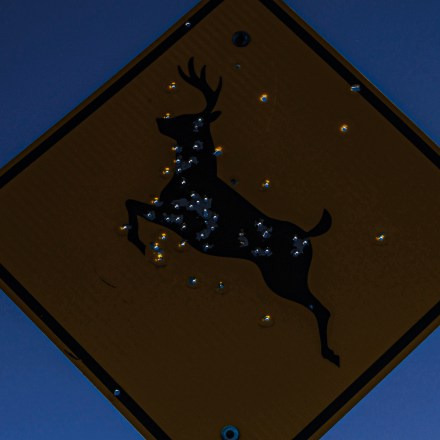 A road sign pierced with buckshot is seen near Sierra Blanca, Texas on Sunday November 6, 2022. Photo: Paul Rate for The Intercept